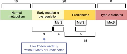 Figure 4 Stages in the progression toward type 2 diabetes mellitus, indicating the number of subjects in each stage or category.
