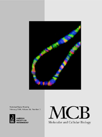 Cover image for Molecular and Cellular Biology, Volume 26, Issue 3, 2006