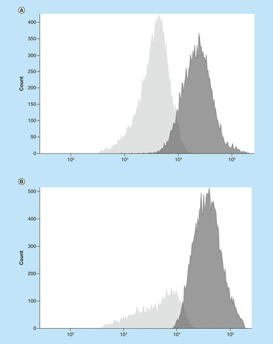 Figure 2. CFSE histograms.Proliferating responder cells are depicted in light gray, in the absence (A) and presence (B) of mesenchymal stromal cells. Dark gray represents nonproliferating cells.