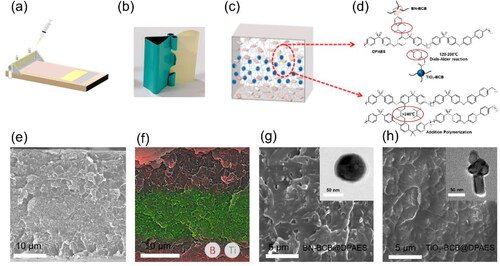 Figure 1. Preparation and morphology of 10 vol% BN-BCB/TiO2-BCB/BN-BCB@DPAES. (a) Schematic diagram of the preparation process of the sandwich structured nanocomposite film. (b) Photographs of the bend sandwich structured nanocomposite film. (c) Schematic diagram of simple structural model of the sandwich structured nanocomposite film. (d) Schematic diagram of molecular structure and hot crosslinking methods. (e) Cross-sectional SEM image of the film. (f) EDS element distribution of the sandwich structured nanocomposite film. (Red stands for B element, green stands for Ti element.) (g) SEM image of 10 vol% BN-BCB@DPAES. (Inset is the TEM imagine of BN-BCB.) (h) SEM image of 10 vol% TiO2-BCB@DPAES (Inset is the TEM imagine of TiO2-BCB.).