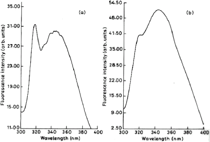 Figure 5. Fluorescence spectra of immobilized trypsin. Emission spectrum was recorded on Shimadzu RF-5000 spectrofluorometer with a band width of 5 nm and 1 cm path length (at an excitation wavelength of 284 nm) for free and immobilized preparation. The amount of protein was same in both the cases. (a) Immobilized trypsin (b) Free trypsin. Control ruled out the quenching activity of the polymer.
