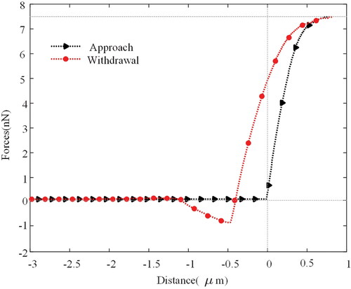 Figure 5. Typical force-distance curve obtained by probe approach and withdrawal from a HeLa cell.