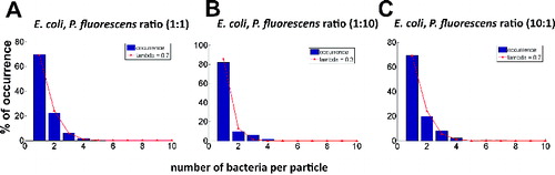 FIG. 3. Total bacterial distribution in single particles when bacteria species (E. coli, P. fluorescens) were aerosolized, respectively, in proportions: (a) 1:1, (b) 1:10, and (c) 10:1.