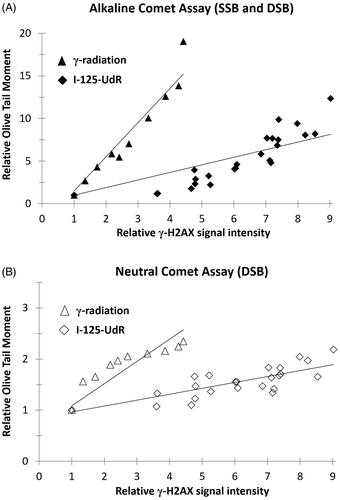 Figure 3. The relative Olive Tail Moment data of the alkaline Comet Assay (A) or neutral Comet Assay (B) are shown as a function of the relative γ-H2AX signal intensity after exposure to I-125-UdR and γ-radiation.