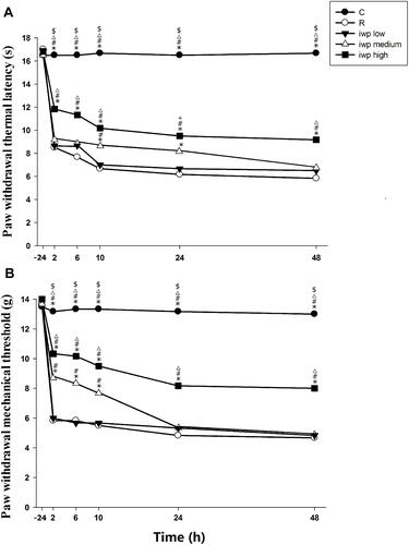 Figure 2 (A, B) Effect of different doses of iwp-2 in remifentanil-induced hyperalgesia. Paw withdrawal thermal latency (A) and paw withdrawal mechanical threshold (B) were evaluated at −24 h before incision and at 2, 6, 10, 24 and 48 h after remifentanil infusion. Groups allocation: (C) Group Control; (R) Group remifentanil; iwplow: Group remifentanil plus 60μM iwp-2; iwpmedium: Group remifentanil plus 120μM iwp-2; iwphigh: Group remifentanil plus 180μM iwp-2. Data were expressed as means ± SEM (n = 6). *P < 0.001 compared with Group R, #P < 0.001 compared with Group iwplow, ΔP < 0.001 compared with Group iwpmedium, $P < 0.001 compared with iwphigh, +P < 0.05 compared with Group iwpmedium.
