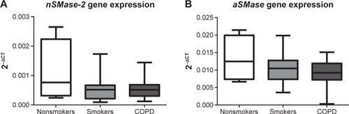 Figure 5 nSMase-2 and aSMase gene expression in alveolar macrophages.