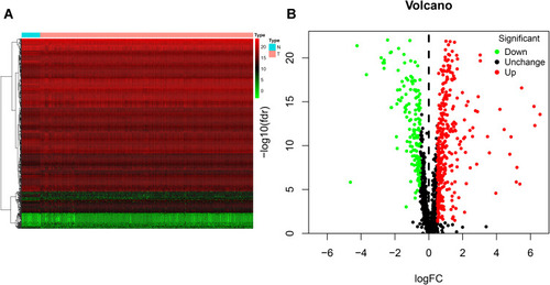 Figure 1 Identification of differentially expressed RNA-binding proteins (DE RBPs) in The Cancer Genome Atlas (TCGA) dataset. (A) Heat map of the DE RBPs based on their log2-transformed fragments per kilobase of transcript per million mapped reads (FPKM) expression values. Red represents high expression, and green represents low expression. (B) Volcano plot of DE RBPs between colon adenocarcinoma (COAD) and normal colon tissue; 208 were upregulated, and 122 were downregulated. Red: upregulated RBPs; black: unchanged RBPs; green: downregulated RBPs.