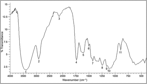 Figure 2. FTIR spectrum of the fibers obtained from the flower heads of milk thistle showing the % transmittance vs. wavenumber in cm−1. Identified peaks are numbered 1 through 11.