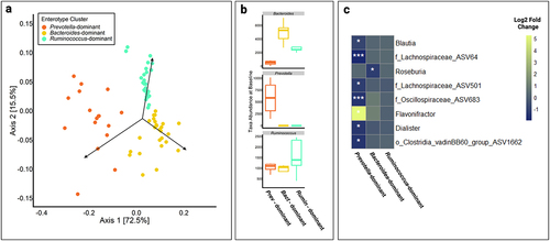 Figure 2. (a) Principal coordinate analysis (PCoA) showing beta-diversity of XN-treated individuals across all time points. Enterotype clusters, indicated by different colors, were determined using partitioning around medoids (PAM) clustering of Jensen-Shannon diversity indices and robustness of clusters were assessed using the silhouette validation technique (average silhouette = 0.51). Each point represents a sample. (b) Each enterotype cluster was confirmed by variable abundance of one of three genera: Prevotella, Bacteroides, and Ruminococcus, and labeled by the dominant genera. (c) Genera with significantly different relative abundance between baseline and end-of-study (day 56) measures by enterotype clustering at baseline (Bacteroides, n = 5; Prevotella, n = 4; Ruminococcus, n = 5), as determined using a negative binomial generalized linear mixed effect model. The x-axis represents each baseline enterotype cluster and the y-axis represents genera. The color of each box represents the log2 fold change between baseline and day 56. o_ASV# or f_ASV# indicates an unannotated member of the order or family shown, respectively. White asterisks represent statistical significance after multiple testing correction. *, p < .05; **, p < .01; ***, p < .001.
