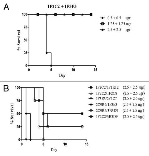 Figure 4. Neutralizing activity of two combinations of monoclonal antibodies (A and B). Equal concentrations of two mAbs were mixed and incubated with 10 MLD of tetanus toxin before injection into mice.