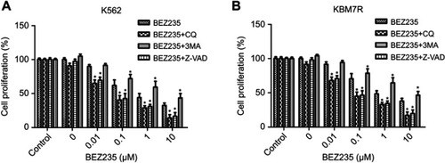 Figure 1 Effects of combined with autophagy inhibitor and apoptosis inhibitor on the proliferation of K562 or KBM7R cells. (A) K562 cells were treated with increasing concentrations of BEZ235 combined with autophagy inhibitor and apoptosis inhibitor and subjected to MTS assay. (B) KBM7R cells were treated with increasing concentrations of BEZ235 combined with autophagy inhibitor and apoptosis inhibitor and subjected to MTS assay. Mean ± SD. n=3. *P<0.05, compared with the same dose of BEZ235 group.