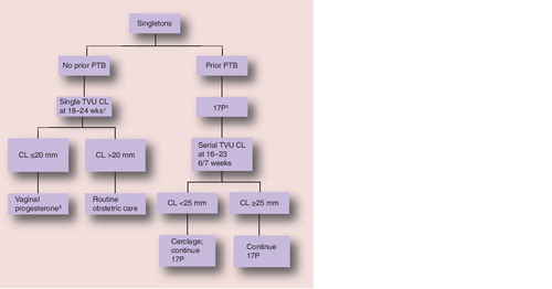 Figure 6. Algorithm for use of progestogen in prevention of preterm birth in clinical care both in women with and without prior spontaneous preterm birth.†If TVU CL screening is performed.‡17P 250 mg intramuscularly every week from 16–20 weeks to 36 weeks.§e.g., daily 200-mg suppository or 90-mg gel from time of diagnosis of short CL to 36 weeks.17P: 17α-hydroxyprogesterone caproate; CL: Cervical length; PTB: Preterm birth; TVU: Transvaginal ultrasound.Reproduced with permission from Citation[75].