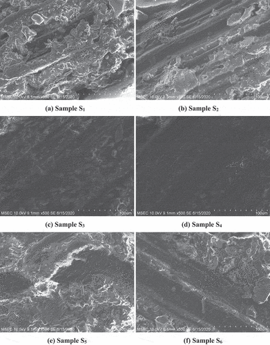 Figure 5. (a-f). SEM images of bioplastics film after the biodegradability test.
