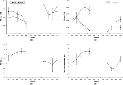 Figure 6. Monthly average values of mature Arabian carpet sharks for (A) male and female hepatosomatic index (HSI); (B) male and female gonadosomatic index (GSI); (C) female maximum follicle diameter (MFD); and (D) female oviducal gland width. Vertical bars indicate ± SD.