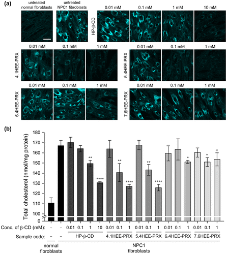Figure 9. (a) Filipin-stained normal and NPC1 fibroblasts treated with HP-β-CD (0.01, 0.1, 1 and 10 mM) and HEE-PRXs (0.01, 0.1, and 1 mM of β-CD) for 24 h (scale bars: 50 μm). (b) The amount of total cholesterol in normal and NPC1 fibroblasts treated with HP-β-CD (0.01, 0.1, 1, and 10 mM) and the HEE-PRXs (0.01, 0.1, and 1 mM of β-CD) for 24 h. The data are expressed as the mean ± SD (n = 3) (*p < 0.05, **p < 0.01, ****p < 0.001 vs. untreated NPC1 fibroblasts).