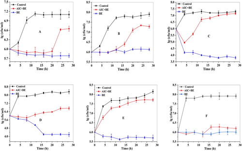 Figure 1. Effect of bayberry extract on growth curve of different strains. Notes: A: S. aureus (+), B: L. innocua (+), C: β-hemolytic streptococus (+) D: Salmonella enteritidis (−), E: S. typhi (−), and F: S. dysenteriae (−), respectively.