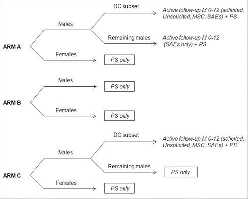 Figure 4. Overview of safety assessments within intervention arms. In Arm A, 90% of boys and girls received HPV-16/18 vaccine and 10% received HBV vaccine. In Arm B, 90% of girls received HPV-16/18 vaccine and 10% of girls and all boys received HBV vaccine. In Arm C, all girls and boys received HBV vaccine. DC, diary card; M, month; MSC, medically significant conditions; NOAD, new-onset autoimmune diseases; PS, passive surveillance including reporting of possibly vaccine-related SAEs and NOADs based on registry download; SAEs, serious adverse events.