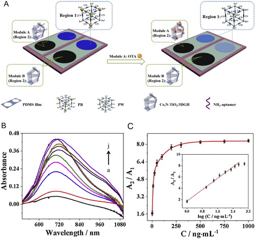 Figure 27. Schematic representation of fabrication of the portable solar-driven ratiometric photo-electrochromic visualization biosensor in (a). The UV-visible absorption spectra at different concentrations of OTA in (b). Calibration curve of absorption intensity A2/A1 ratio and OTA concentration; insert of the linear relationship between absorption intensity A2/A1 ratio and logarithm OTA concentration in (c). Reprinted with permission from Hao et al. (Citation2020). Copyright 2020 Elsevier.