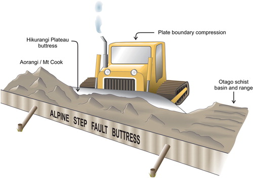 Figure 4. Cartoon illustrating how crustal deformation in the central South Island is buttressed by both the incoming Hikurangi Plateau (the bulldozer blade) and the Alpine STEP fault (the wall). The angle between these buttresses is 16°. This results in less accommodation space and more exhumation in the Aorangi/Mt Cook region, and more accommodation space and thus less exhumation towards the south. Further south the Hikurangi Plateau deepens as a result its subduction at the Gondwana margin, and the buttressing effect of the plateau is lost. This enables the widening of the zone of active deformation into the Otago schist basin and range.