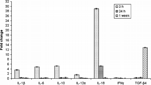 Figure 1.  Fold-changes in cytokine mRNA levels in peripheral heterophils from corticosterone-treated chickens at 3 h, 24 h and 1 week after initial exposure when compared to controls (untreated and ethanol [vehicle] treated birds). Error bars show SEM from triplicate samples (n = 16 chickens per group) from two separate qRT-PCR experiments; p < 0.01.