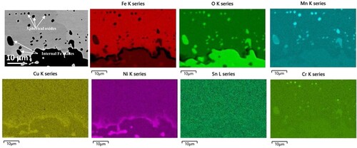 Figure 7. BSE-SEM image and elemental maps of the oxidized Steel 2 (0.15Cu-0.15Ni-0.03Sn).