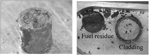 Figure 7. Pictures of the fuel segment No. 1 recovered after the potentiostatic electrolysis (left) and the fuel residue separated from the cladding (right).