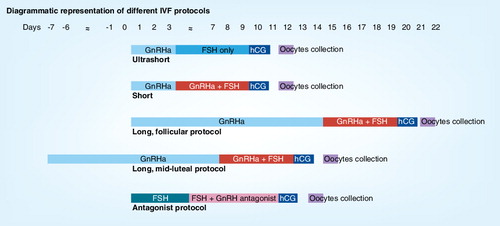 Figure 1. Diagramatic representation of different in vitro fertilization protocols.FSH: Follicle-stimulating hormone; GnRH: Gonadotropin-releasing hormone; GnRHa: Gonadotrophin-releasing hormone agonists; hCG: Human chorionic gonadotrophin.