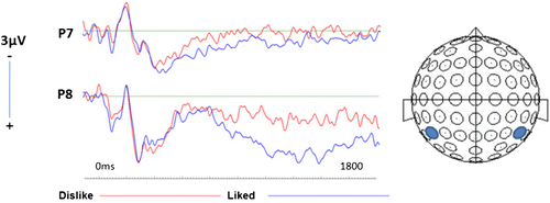 Figure 4. Grand averaged ERPs related to disliked and liked brands.