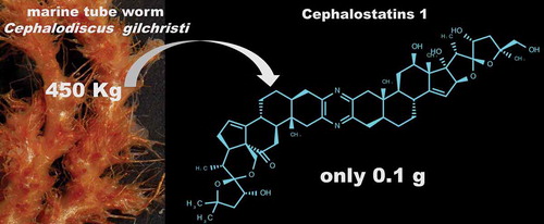 Figure 5. Chemical structure of cephalostatin 1 and its harvesting issues.
