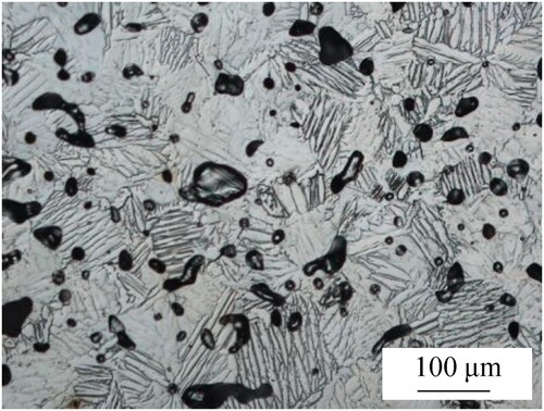 Figure 1. Micrographs of Ti-5Al-2.5Fe alloy sintered at 1250°C for 2 h.