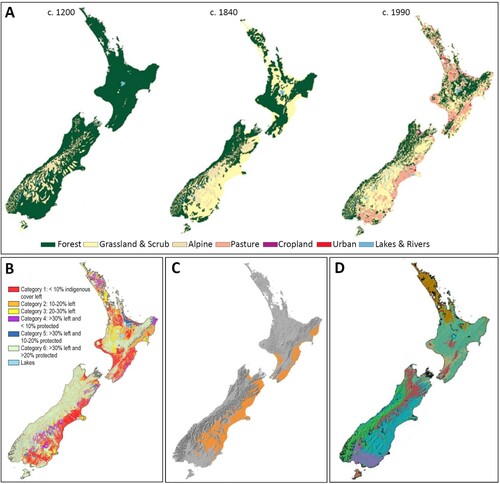 Figure 1. A, left, c. 1200 New Zealand forest cover pre-human settlement; middle, c. 1840 post-Māori burning and pre-European settlement; right, c. 1990 post-European settlement (from Weeks et al. Citation2012). B, Threatened Environment Classification (from Cieraad et al. Citation2015). C, Dryland zone shown in orange (from McGlone et al. Citation2017; modified from Walker et al. Citation2009). D, Ten environmental domains (from Overton and Leathwick Citation2001).