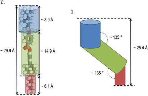 Figure 4. (Colour online) (a) Cartoon depiction of the subdivisions of the molecular structure of compound 17 overlaid atop the B3LYP/6-31G(d) optimised geometry with the molecular length and approximate dimensions of molecular subdivisions indicated and (b) cartoon depiction of the tilt angle between the mesogenic core (green) and the alkyl chains (blue and red), which is required to achieve a layer spacing of 25.4 Å.
