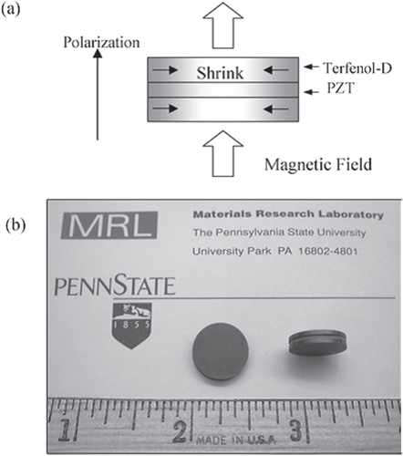 Figure 19. Magnetic noise sensor consisting of a laminated composite of a PZT and two Terfenol-D disks: (a) schematic structure, and (b) photograph of the device [Citation54].