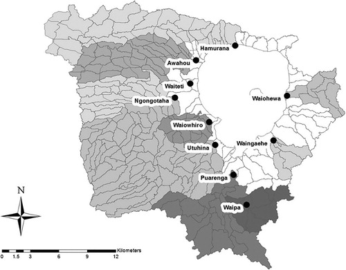 Figure 1. The groundwater catchment of Lake Rotorua as determined by White et al. (Citation2014). Also shown are the 280 sub-catchments used in the ROTAN model. Shading denotes the recharge zones draining to the 10 monitoring sites, indicated by black dots. Unshaded denotes ungauged sub-catchments. Circles denote flow and water quality monitoring sites.