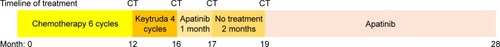 Figure 7 The various treatments the patient received as well as the duration of each treatment.