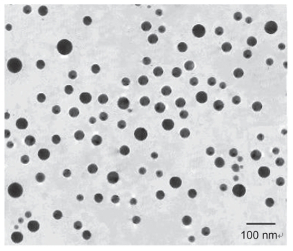 Figure 1 Transmission electron microscopy picture of immunomagnetic nanoparticles.