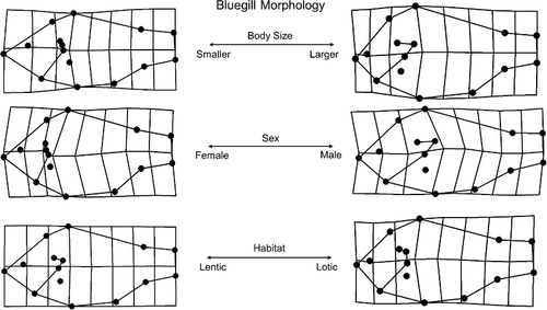 Figure 3. Overall visualizations for morphological variation in the GLSM watershed area.