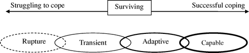 Figure 2.  Continuum of household survival (adapted from Abebe & Aase, Citation2007).