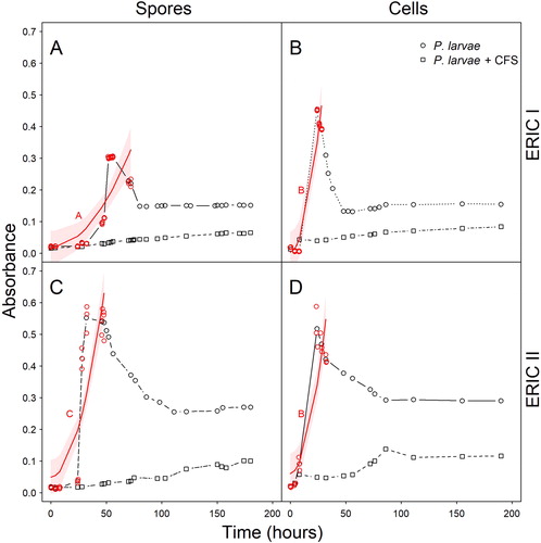 Figure 1. Inhibitory effect of hbs–LAB CFS on P. larvae growth in broth. Growth curves (black symbols and black lines) of P. larvae in MYPGP broth supplemented with hbs–LAB cell-free supernatant (P. larvae+CFS) compared to the controls (P. larvae). Bacterial growth was reflected by increasing turbidity, and measured by the optical density at 600 nm (OD600). The growth curves were initiated with either P. larvae ERIC-I spores (A), P. larvae ERIC-I vegetative cells (B), P. larvae ERIC-II spores (C), or P. larvae ERIC-II vegetative cells (D). In red: The strength of the growth increase of P. larvae was compared among all four combinations. Circles show the original subset and lines indicate model predictions with bootstrapped confidence limits. Different upper-case letters indicate significantly different slopes (Tukey contrast; p < 0.05).