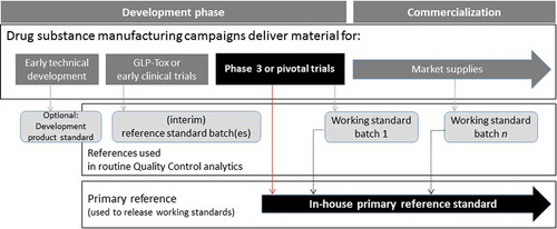 Figure 3. Strategic overview for the generation of a two tiered reference standard. A strategic overview for the generation and maintenance of a two tiered reference standard over the course of biopharmaceutical development to commercialization. A large scale phase III or pivotal trial drug substance batch produced under cGMP conditions is used for generating the in house primary reference standard. All working standard batches used to release commercial material must first be compared to the primary reference and comply with primary reference standard specifications prior to use, ensuring a consistent standard throughout the lifecycle of the product.