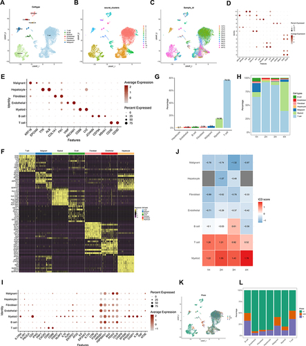 Figure 9 Correlation of ICDRGs with immune TME in single-cell RNA data of HCC. (A–C) View UMAP plots by sample_id, seurat_clusters, and celltype. (D) View marker gene expression by defined cell type. (E) View marker genes expression in each cluster. (F) DEGs of different cell types. (G) The overall percentage of different cell types. (H) The relative percentage of content of each cell type in each HCC patient. (I) Dot plot plots showing ICDRGs expression in each cell type. (J) Heatmap showing ICD pathway scores for each cell type in 4 HCC samples. (K) View of UMAP plots by cell cycle (phase). (L) The relative proportion of cells at each cell cycle stage.