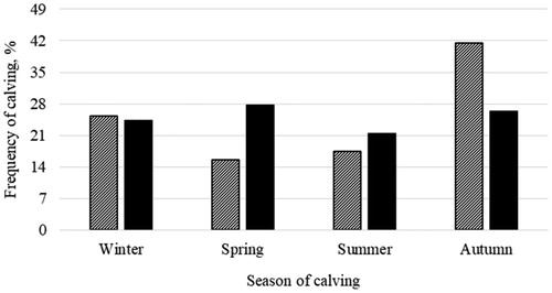 Figure 2. Distribution of calvings of primiparous (dashed bar, n = 154) and multiparous (solid bar, n = 366) cows across calving seasons.