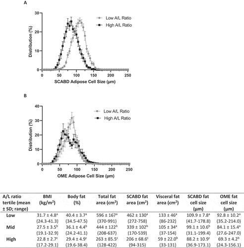 Figure 3. Subcutaneous abdominal (panel A) and omental (panel B) adipose cell size distributions in low vs. high plasma A/L ratio tertiles. The inset Table shows body composition, regional fat distribution and adipose cell size in the low, mid, and high A/L ratio tertiles. Values not sharing a same letter are statistically different from each other at p values ranging from 0.0001 and 0.01. For abbreviations see legends to Figure 1.