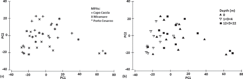 Figure 2. PCA ordination plot of grain size variables. (a) comparison per MPA; (b) comparison per depth.