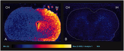 Figure 10. Representative desorption electrospray ionization mass spectrometry images with temozolomide 10 mg/kg injection. Ipsilateral (IH, right) hemisphere shows higher signal intensity than the contralateral (CH, left) hemisphere (group 4, A) and positive control group (group 5, B).