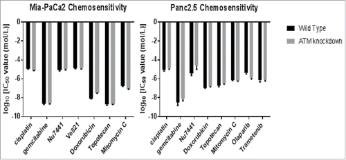 Figure 2. Chemosensitivity of ATM-deficient vs. ATM-wild-type pancreatic cancer cells. Cells were exposed to serial dilutions of each agent from 1 nM to 100 um for three days, then assayed for viability with AlamarBlue. Ic50 values were calculated from the dose-response curve.