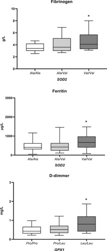 Figure 1. The associations between SOD2 and GPX1 polymorphisms and levels of ferritin, fibrinogen, and D-dimmer. Results are presented as the median with interquartile range; *p < 0.05.