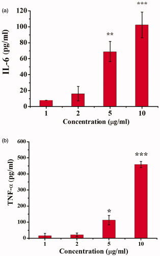 Figure 8. Interleukin-6 (a) and tumor necrosis factor-α (b) expression in TAMs after Bai treatment.