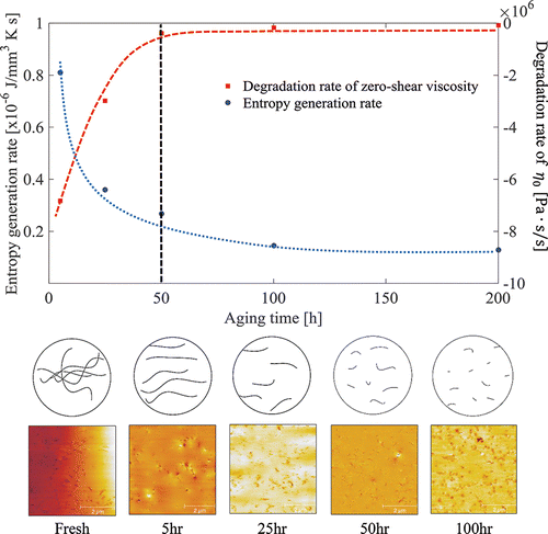 Figure 9. Aging of Li/M; cartoon and AFM results for different aging stages.