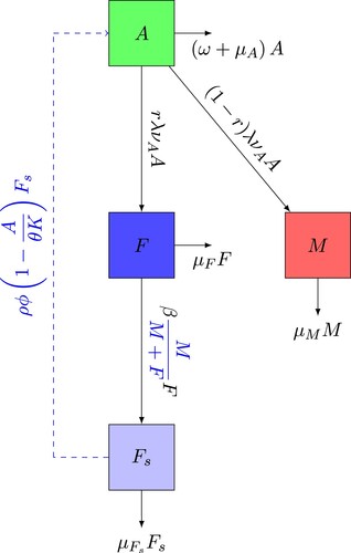 Figure 1. Wild mosquito flow chart.